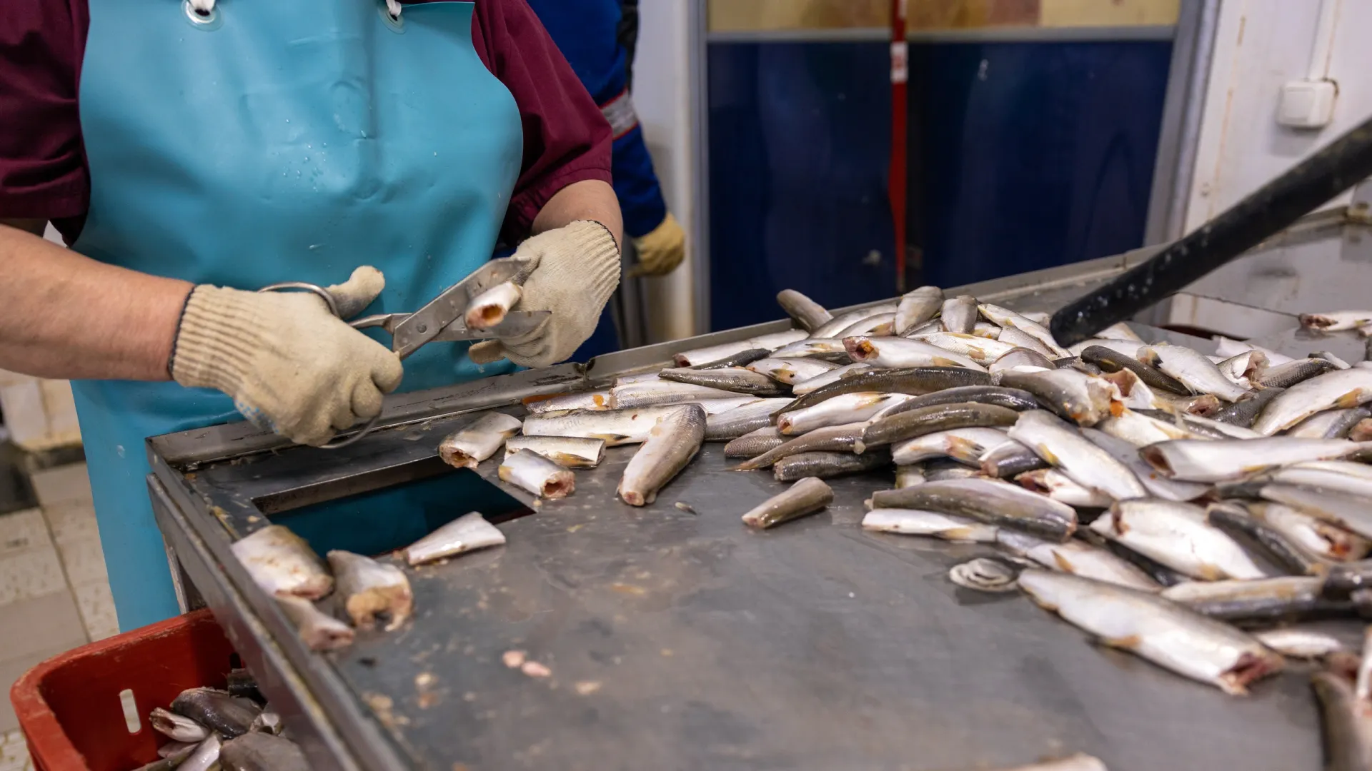 Фото: Фёдор Воронов / «Ямал-Медиа»