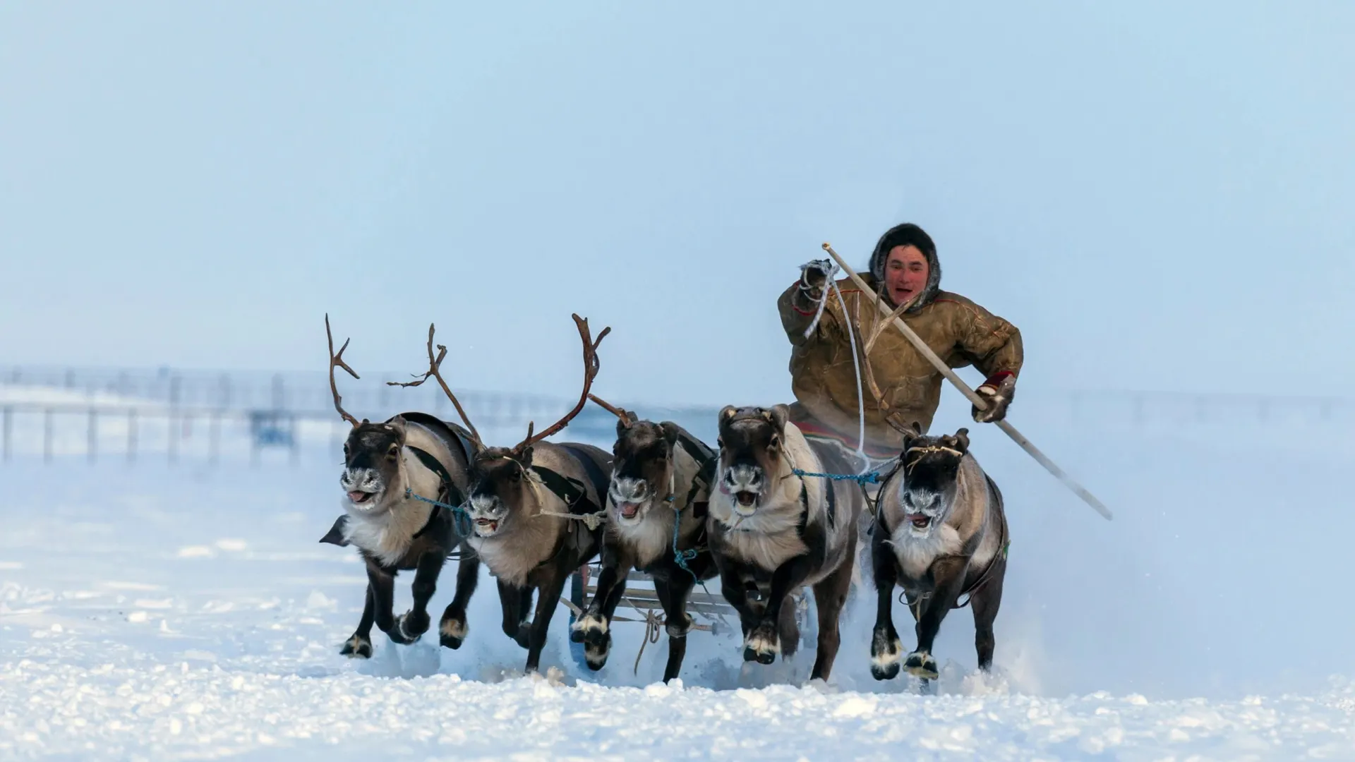 Фото: evgenii mitroshin / Shutterstock / Fotodom