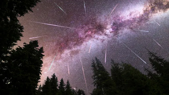 Фото: Belish / shutterstock.com