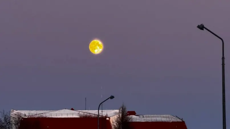 Бобровая Луна над Тарко-Сале. Фото: zhivem_na_severe