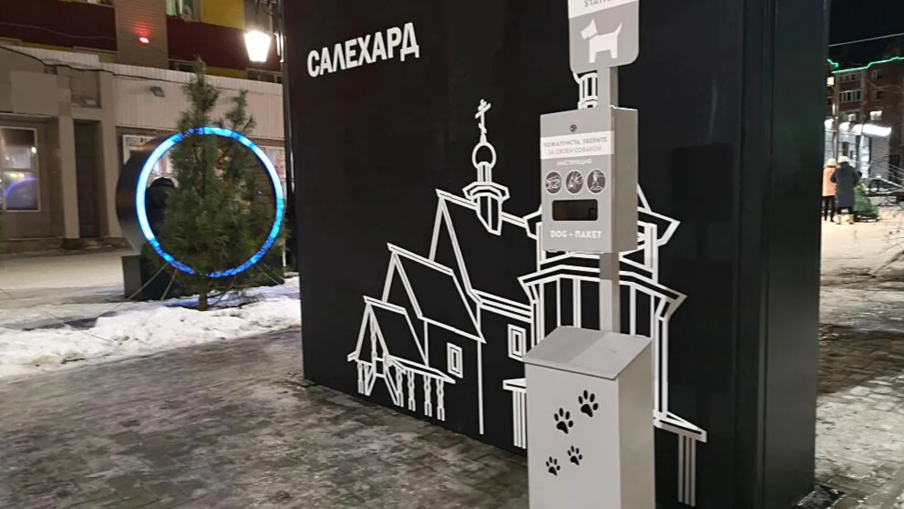 Догбокс в Салехарде. Фото: Елена Миленина / КРАСНЫЙ СЕВЕР