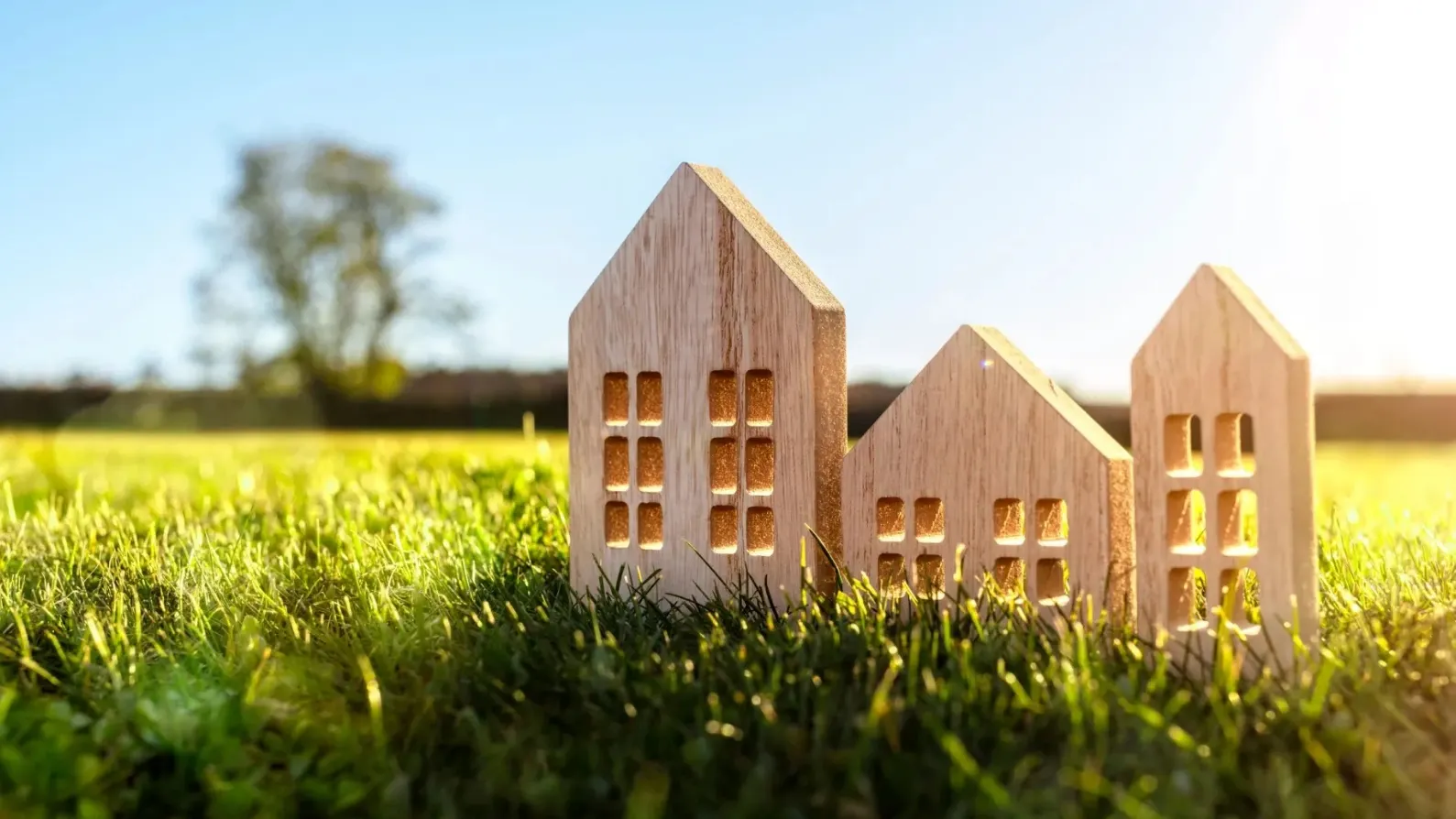 Фото: Brian A Jackson / Shutterstock / Fotodom