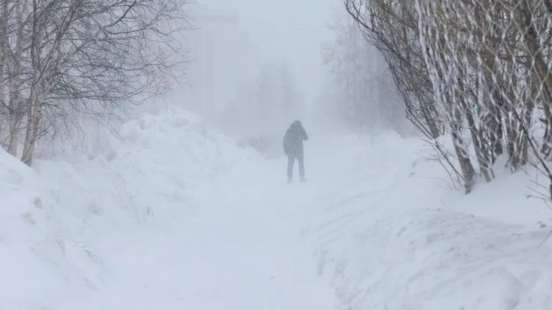 Фото: Андрей Ткачёв / «Ямал-Медиа»