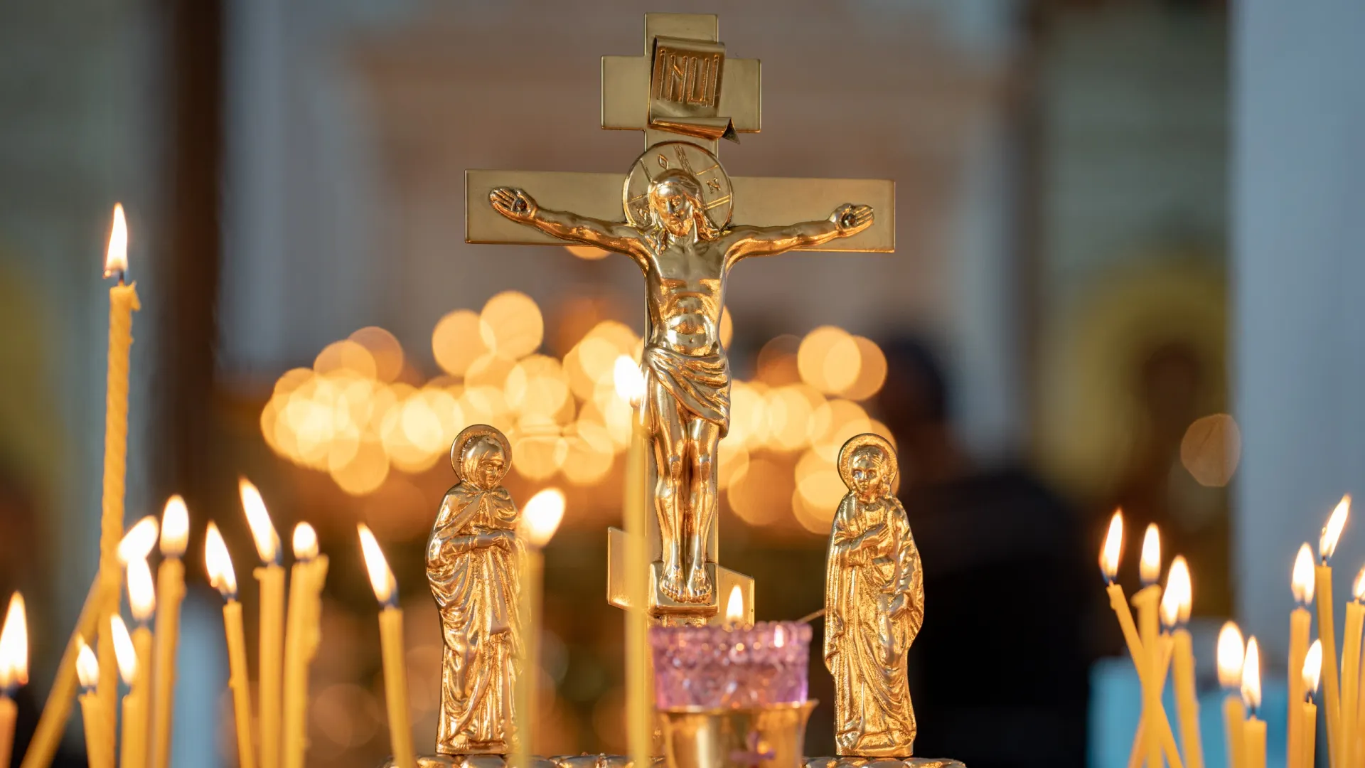 Фото: Сергей Зубков / «Ямал-Медиа»