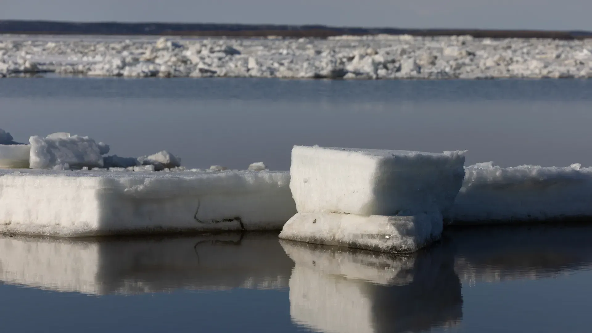 Фото: Сергей Зубков / «Ямал-Медиа»