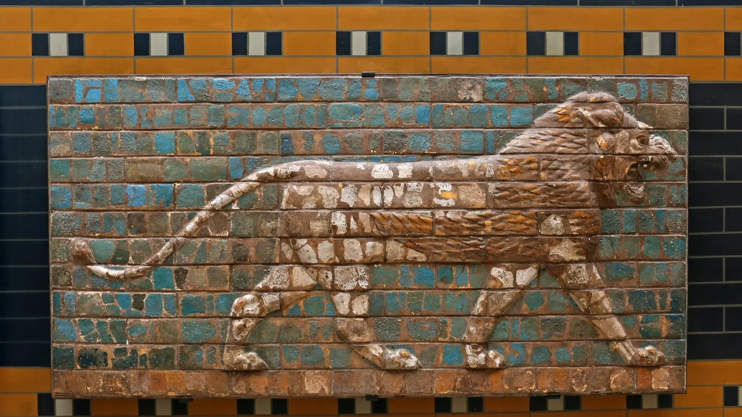 Фото: Chris Hill/Shutterstock/Fotodom