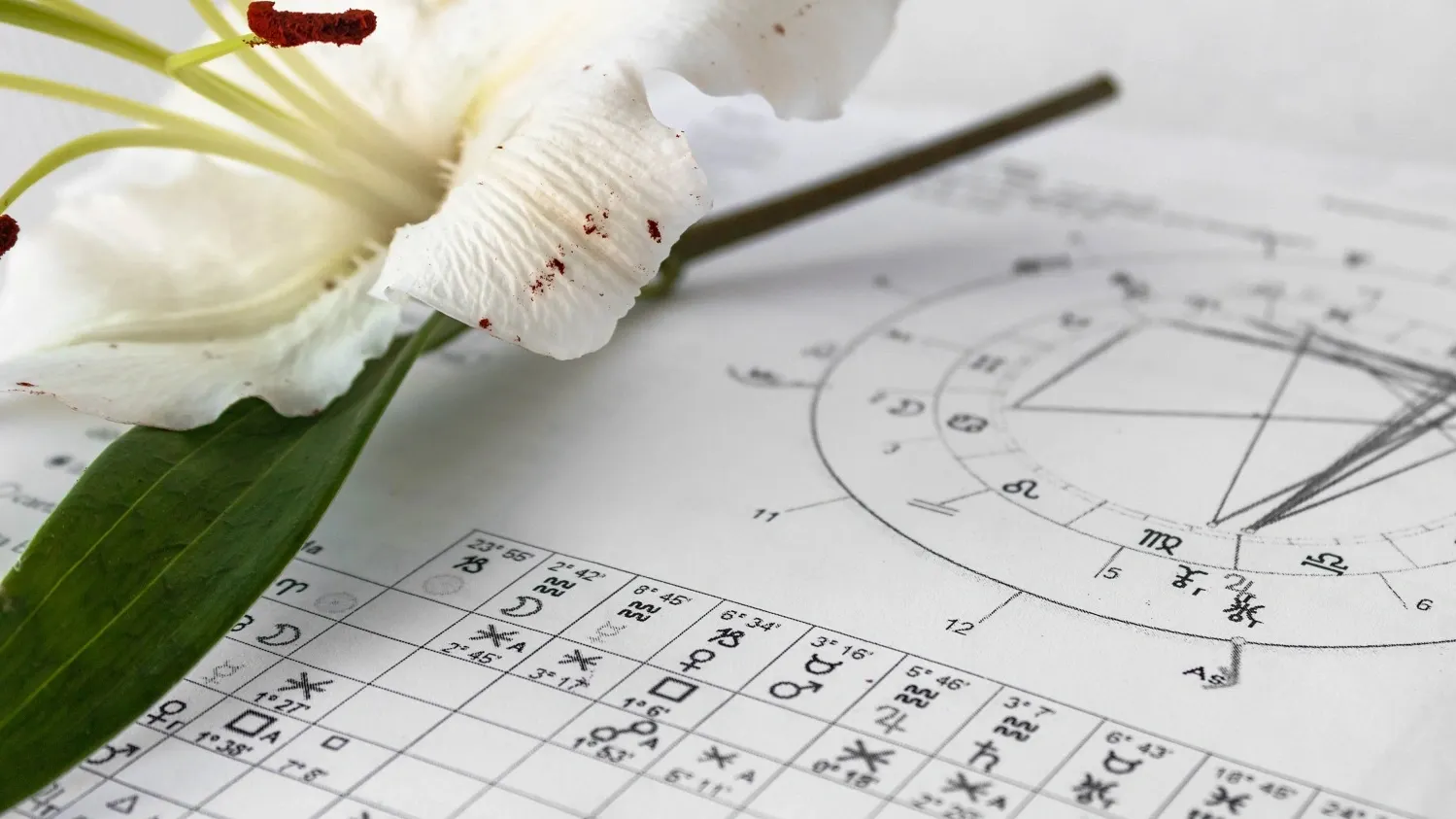 Фото: Bada1 / shutterstock.com / Fotodom