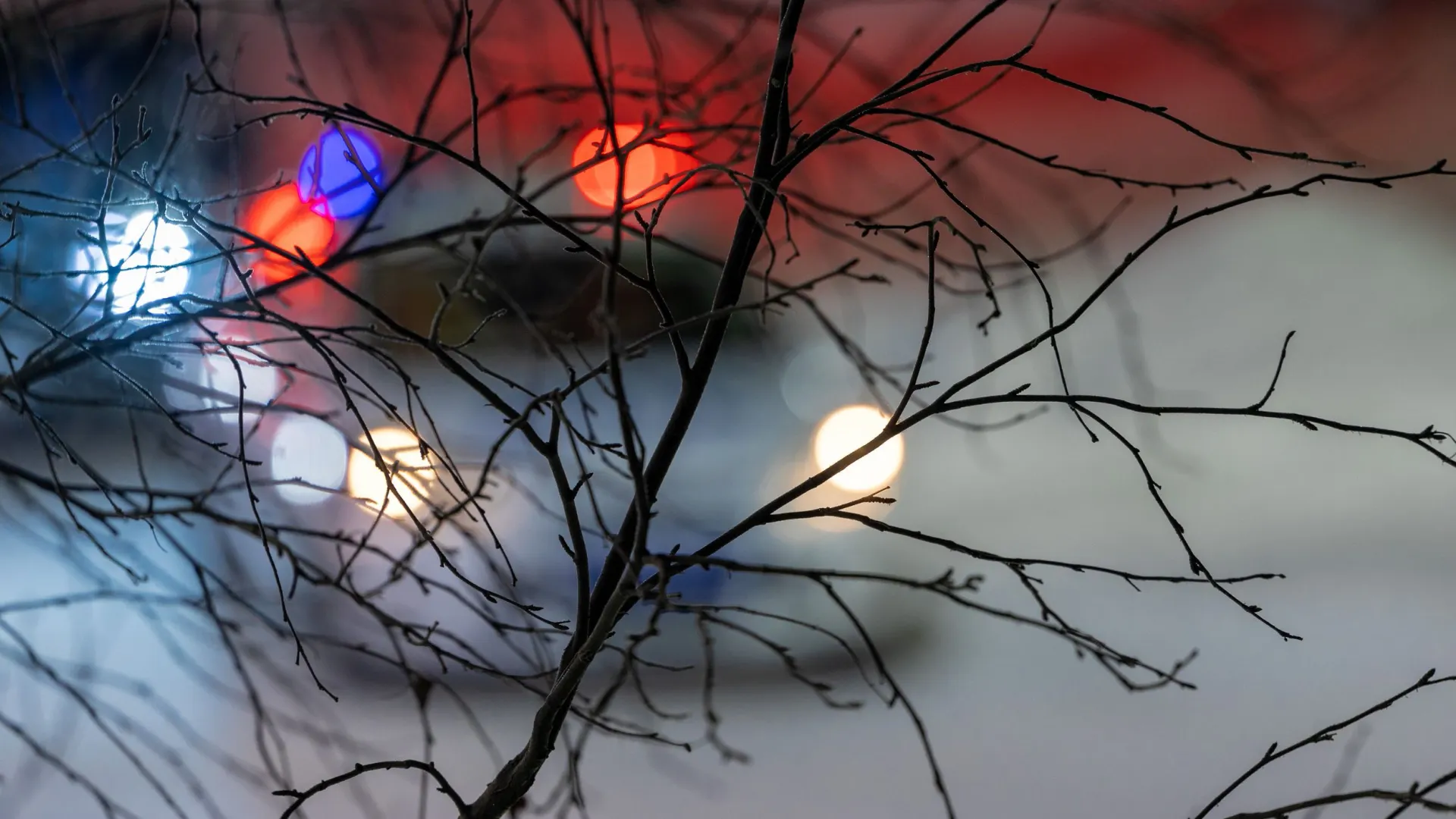 Фото: Фёдор Воронов/«Ямал-Медиа»