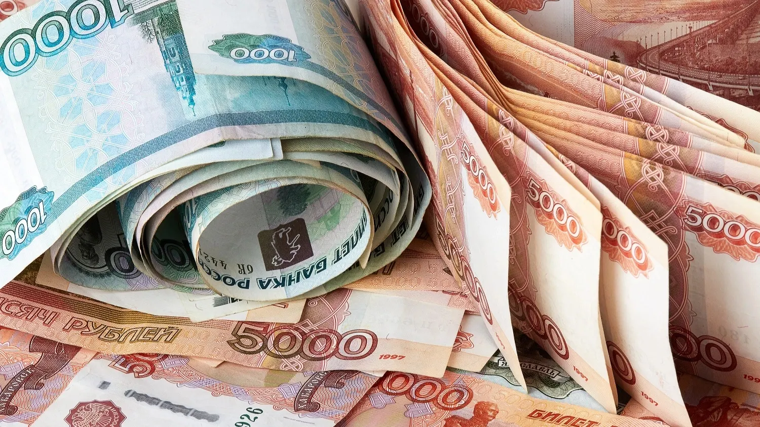 Региональную выплату участнику СВО теперь можно перечислить на реквизиты иного лица. Фото: IURII KRUGLIKOV  / shutterstock.com / Fotodom