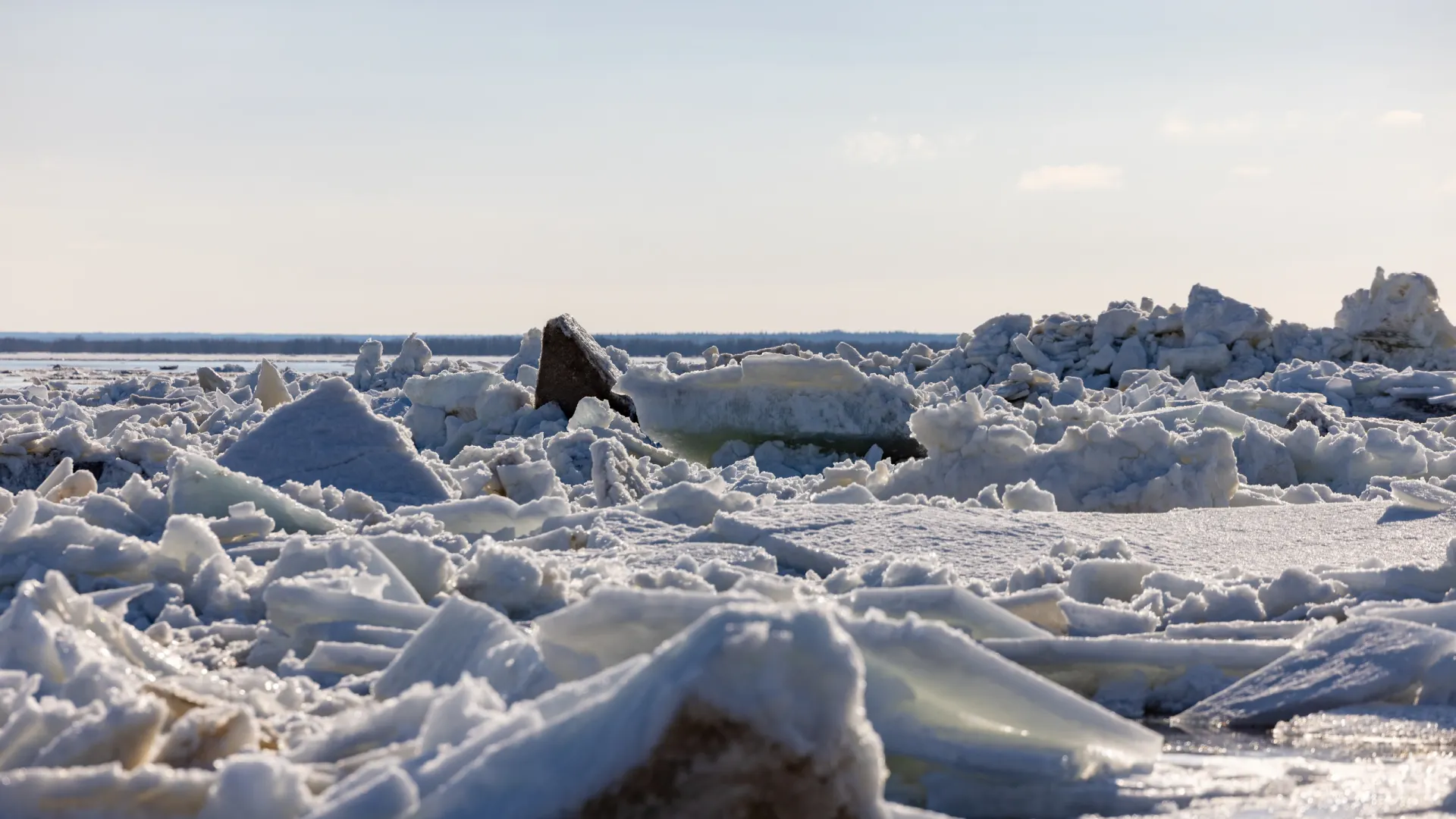 Фото: Сергей Зубков / «Ямал-Медиа»