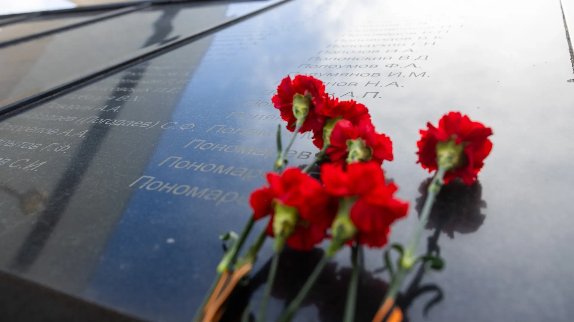 Фото: Фёдор Воронов / «Ямал-Медиа»