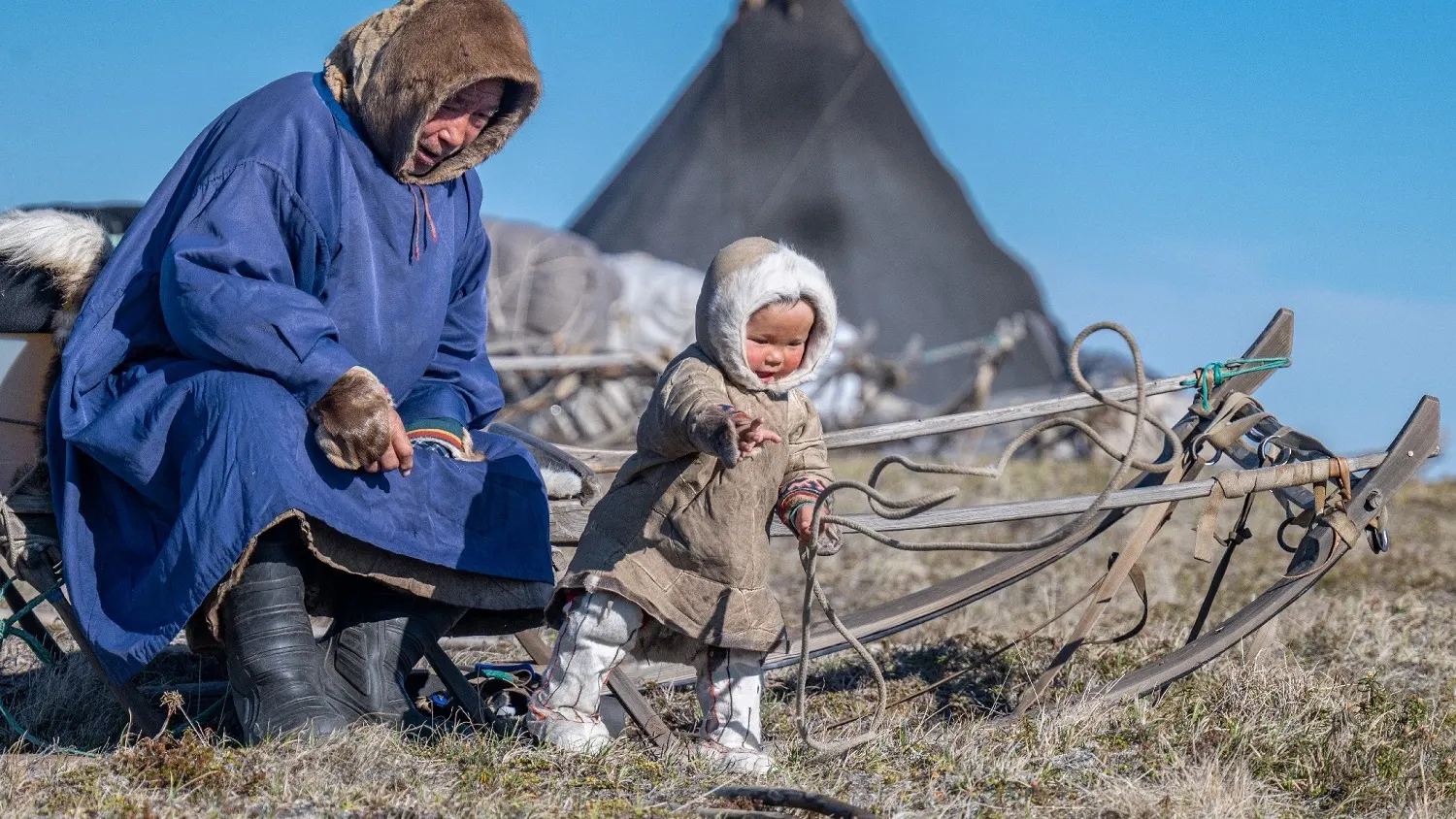 Жизнь на стойбище оленеводов. Фото: пресс-служба губернатора ЯНАО