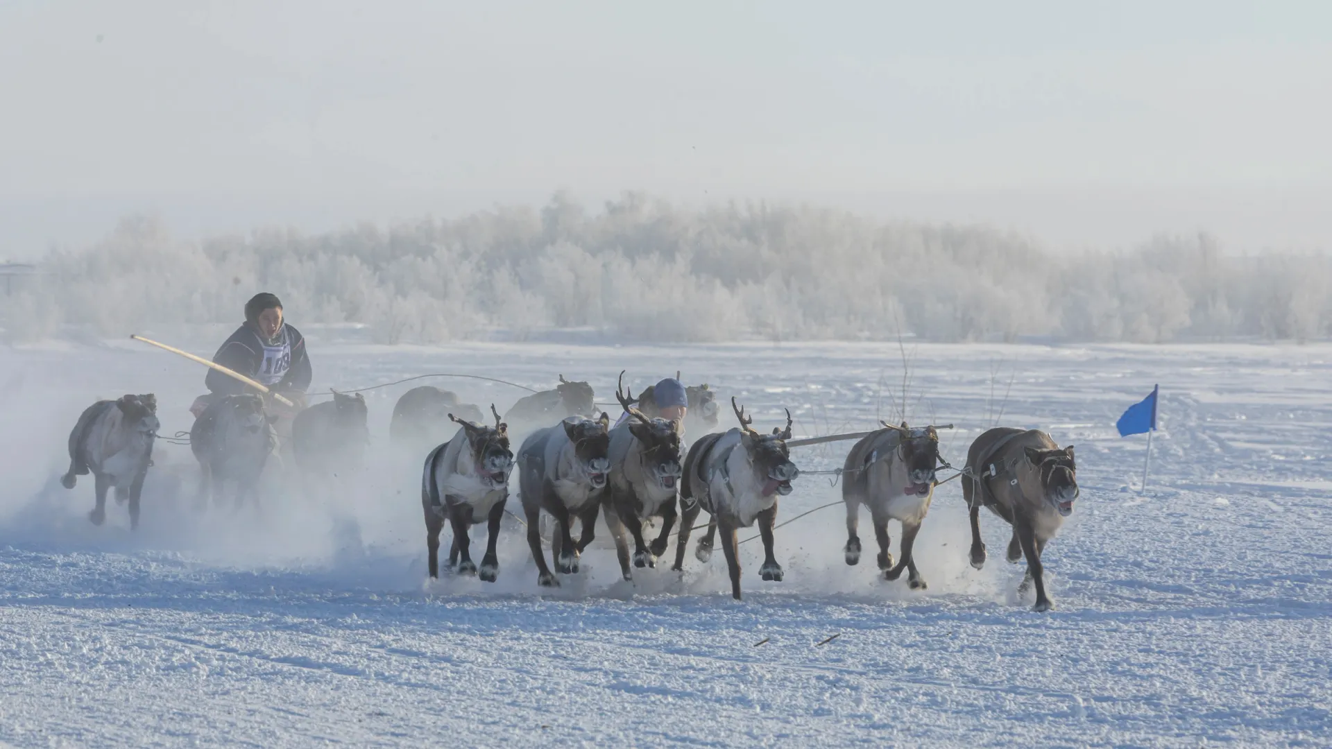 Фото: Махаббат Окружко / «Ямал-Медиа»