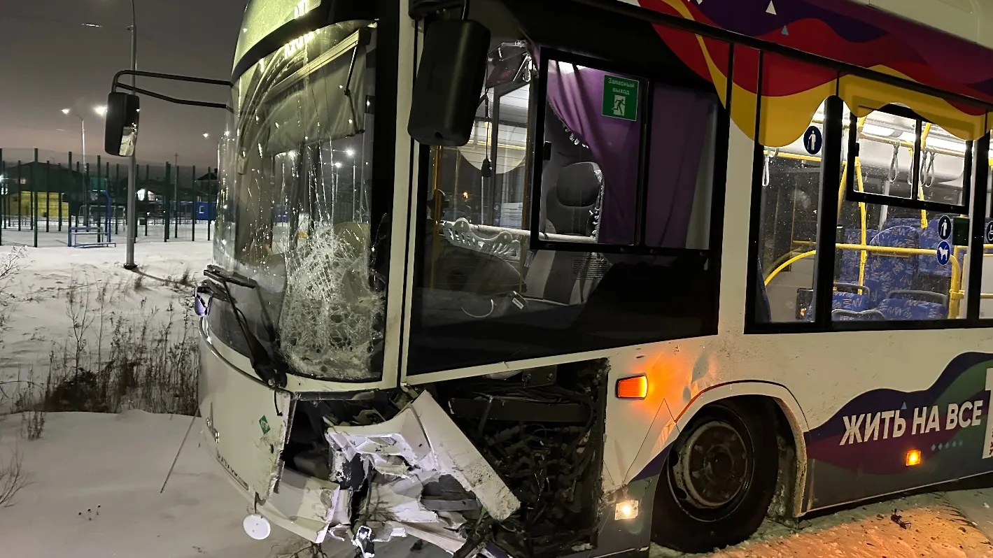 Фото: Вера Дронзикова / «Ямал-Медиа»