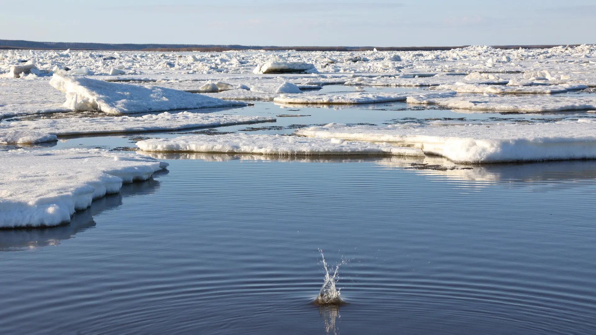 Фото: Андрей Ткачёв / «Ямал-Медиа»