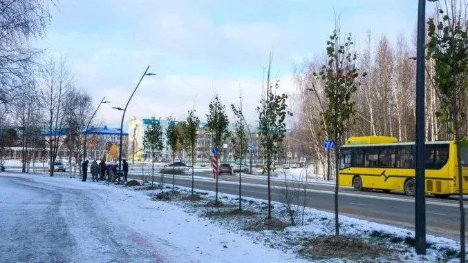 Все растения спокойно могут расти в суровых условиях Крайнего Севера. Фото: «Ноябрьск-Информ»