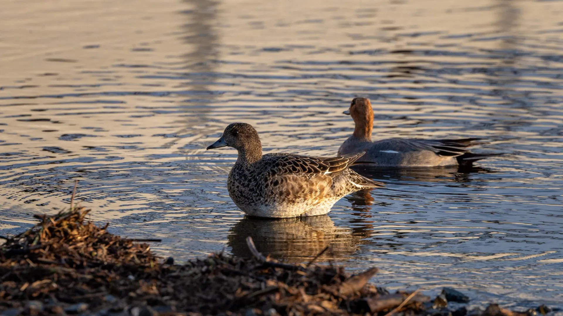 Фото: Фёдор Воронов / «Ямал-Медиа»