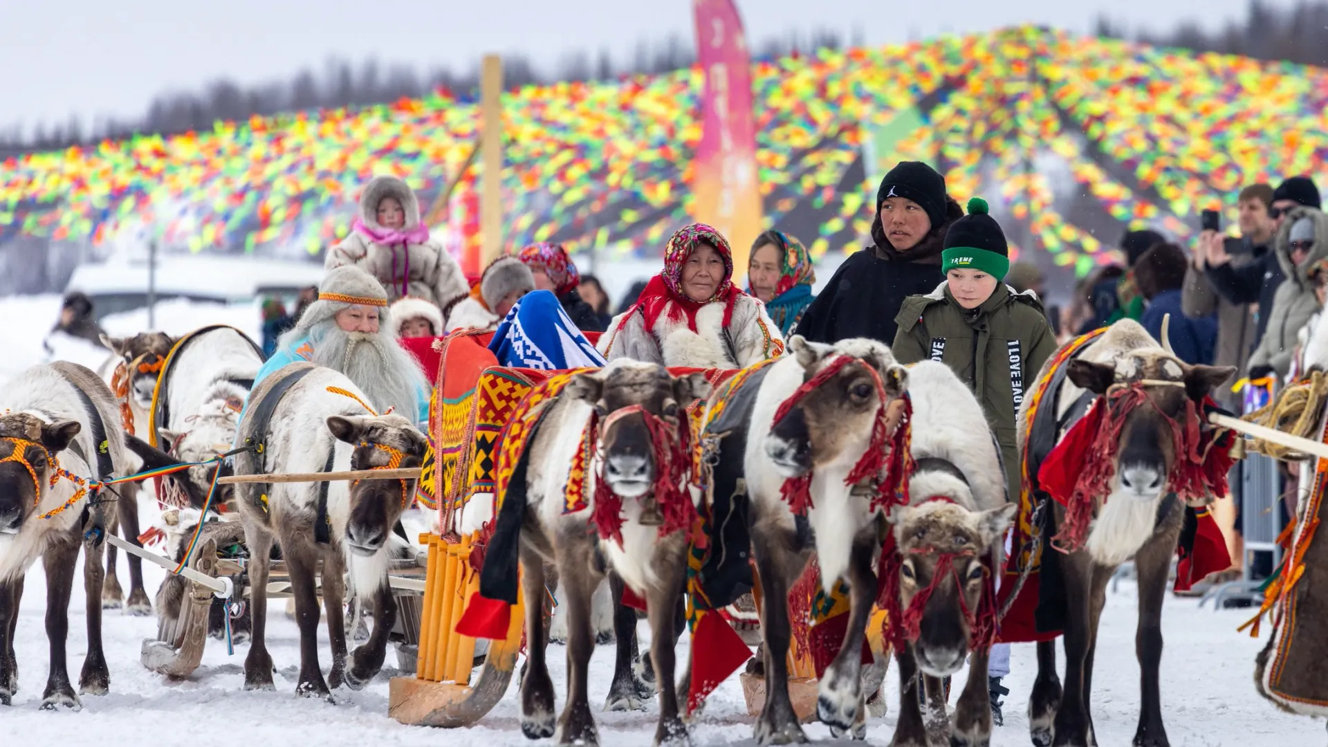 Фото: Фёдор Воронов / «Красный Север»