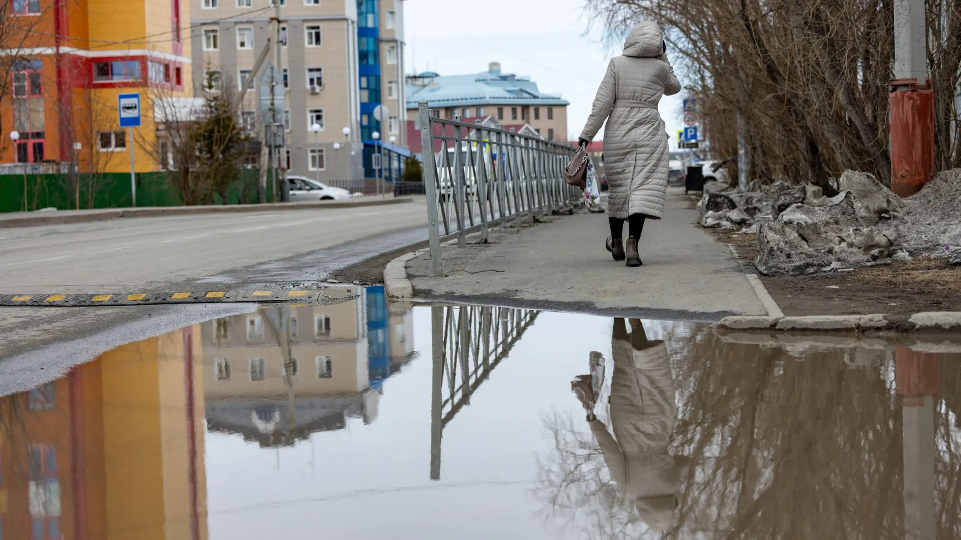 Фото: Сергей Зубков / «Красный Север»