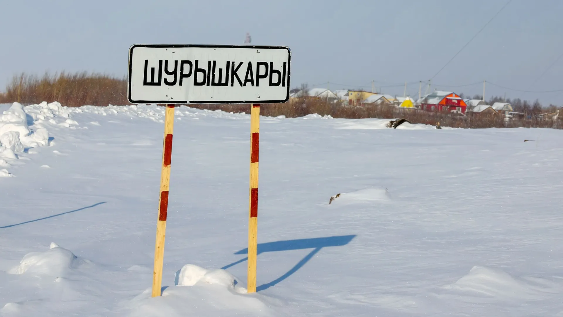 Фото: Андрей Ткачёв / «Красный Север»