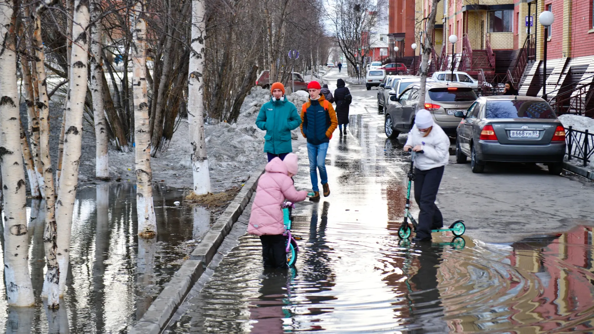 Фото: Андрей Ткачёв / «Красный Север»