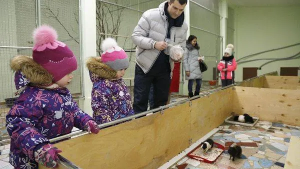 Фото: Андрей Ткачёв / «Красный Север»