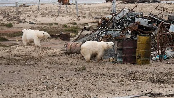 Фото: Григорий Покрас