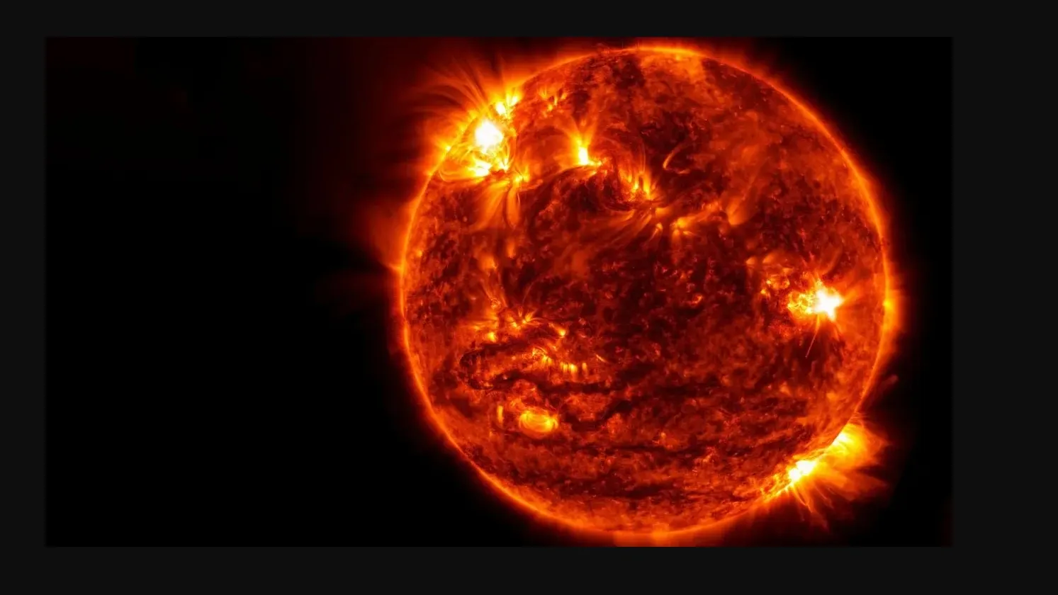 Фото: Artsiom P/Shutterstock/Fotodom