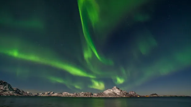 Фото: saltat007 / shutterstock.com