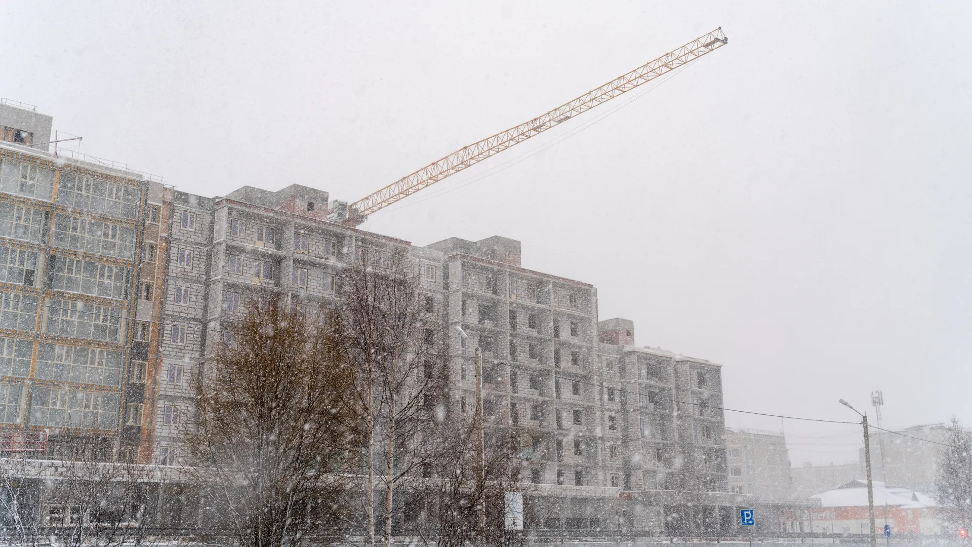 Фото: Сергей Зубков / «Ямал-Медиа»