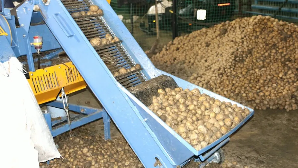 Производство сельскохозяйственной продукции на Ямале растет. Фото: предоставлено пресс-службой губернатора ЯНАО