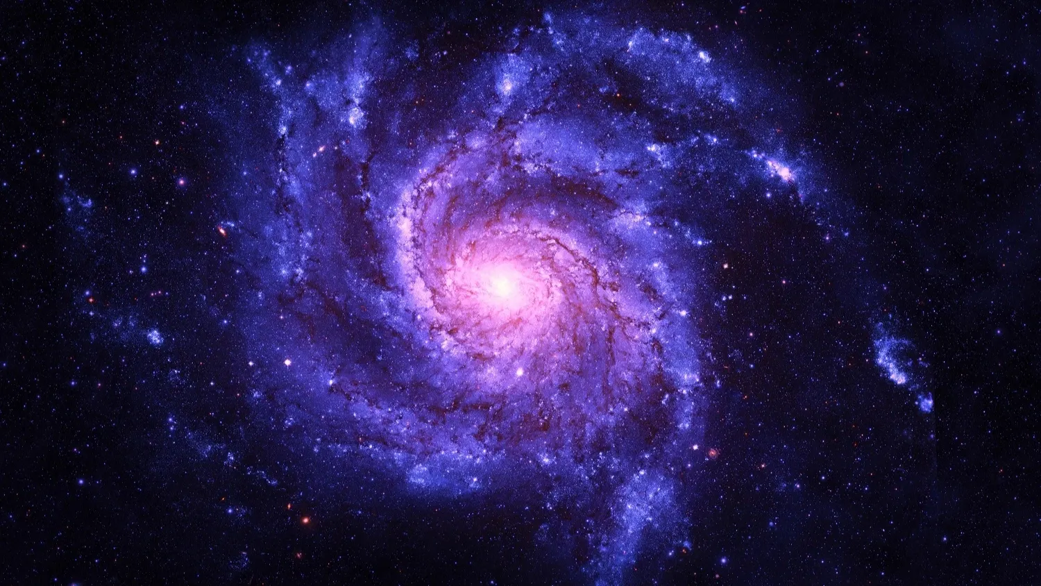 Фото: Aphelleon / shutterstock.com / Fotodom