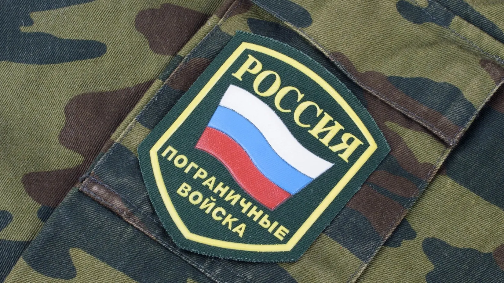 Фото: Militarist / shutterstock.com / Fotodom
