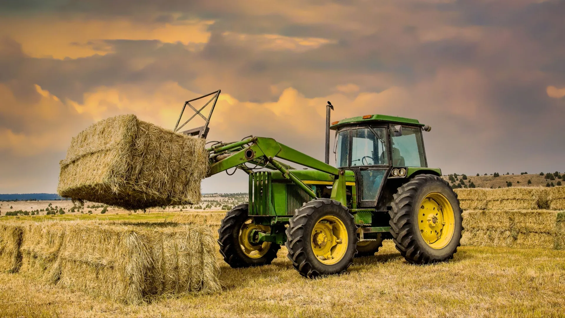 Фото: Bob Pool / shutterstock.com / Fotodom