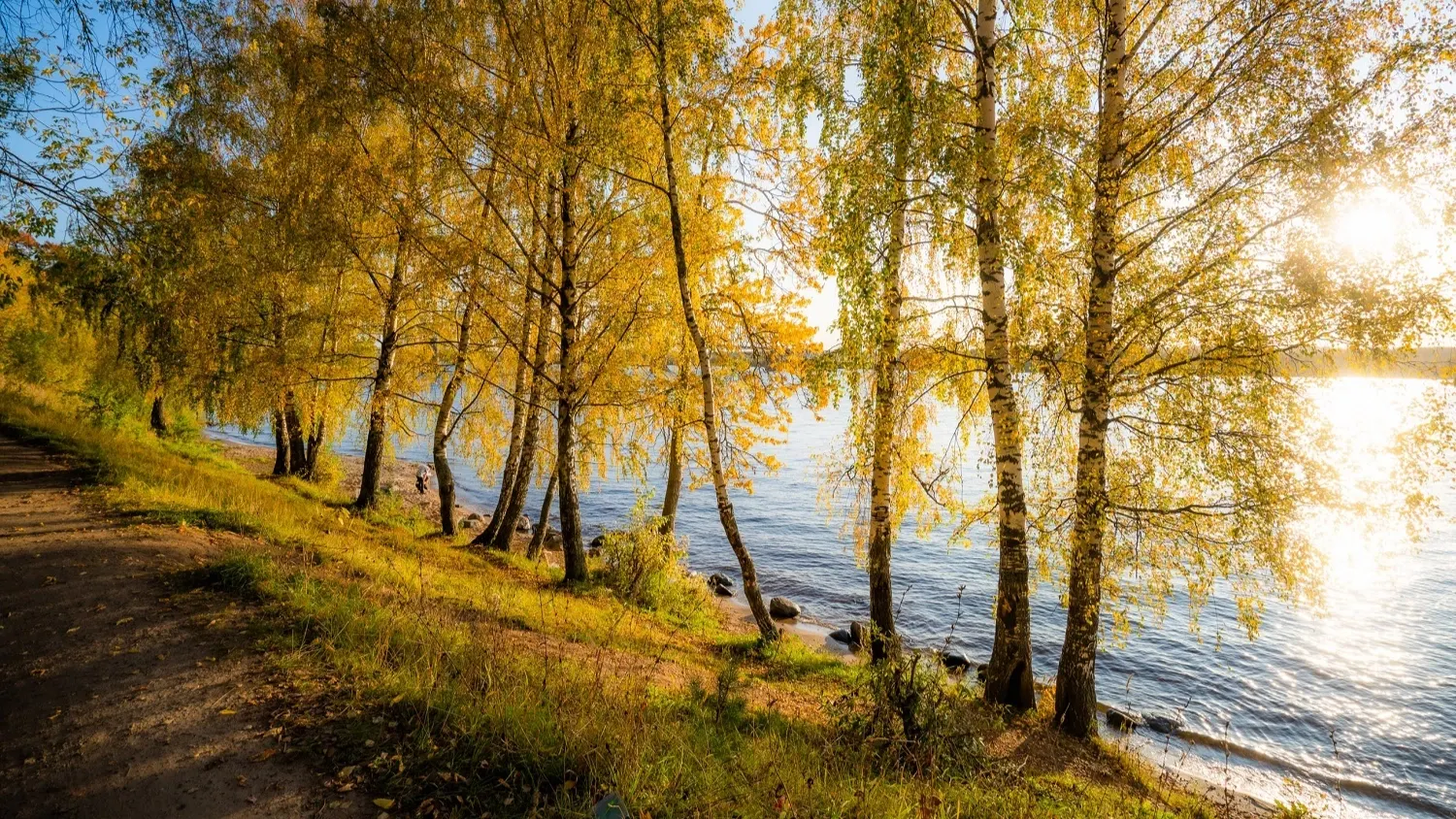 Фото: предоставлено из личного архива Ильи Меркулова