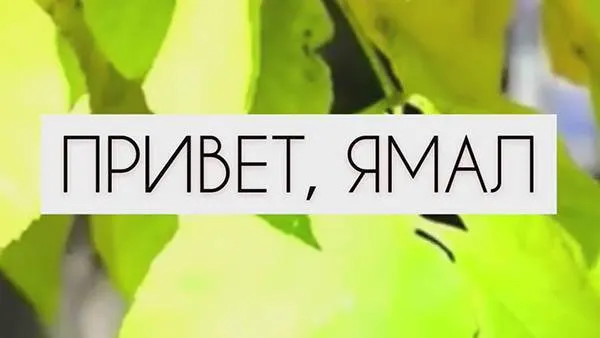 Фото: ОГТРК "Ямал-Регион"