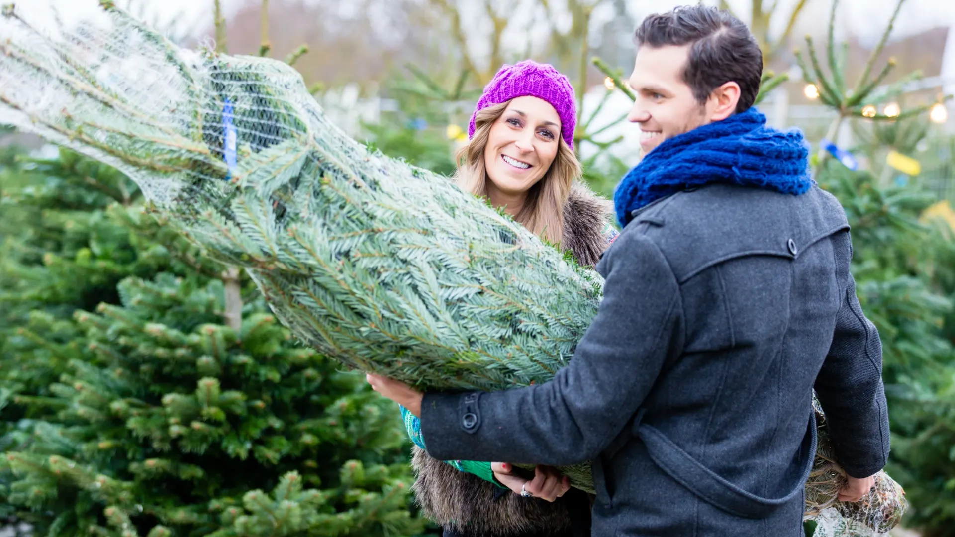 Фото: Kzenon/Shutterstock/Fotodom