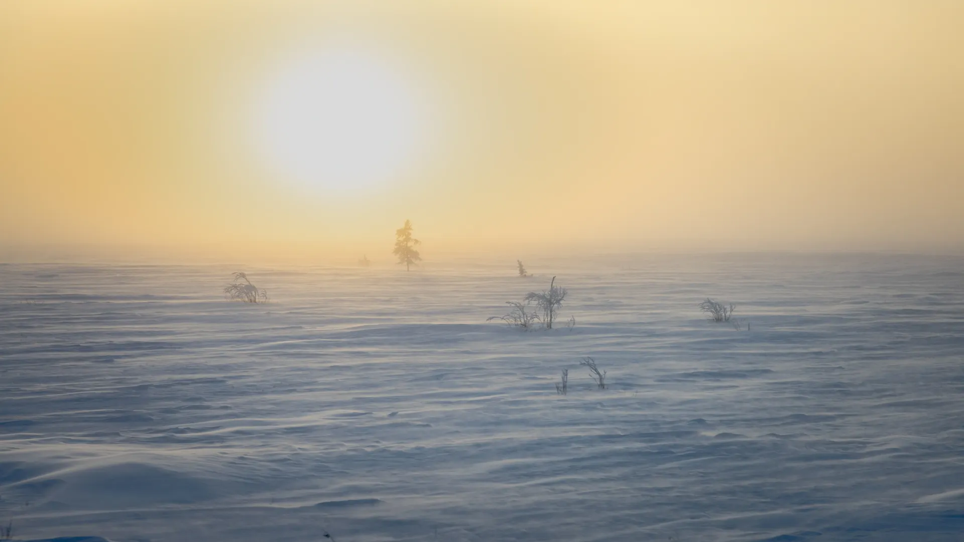 Фото: Фёдор Воронов / «Ямал-Медиа»