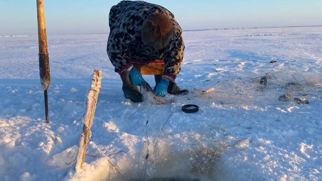 Едэй нядˮмадоʼ ӈадимда