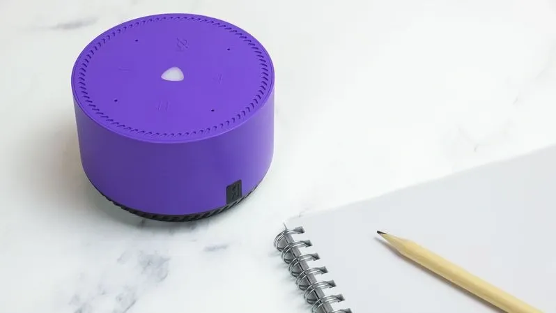 Фото: Galina-Photo/Shutterstock/Fotodom