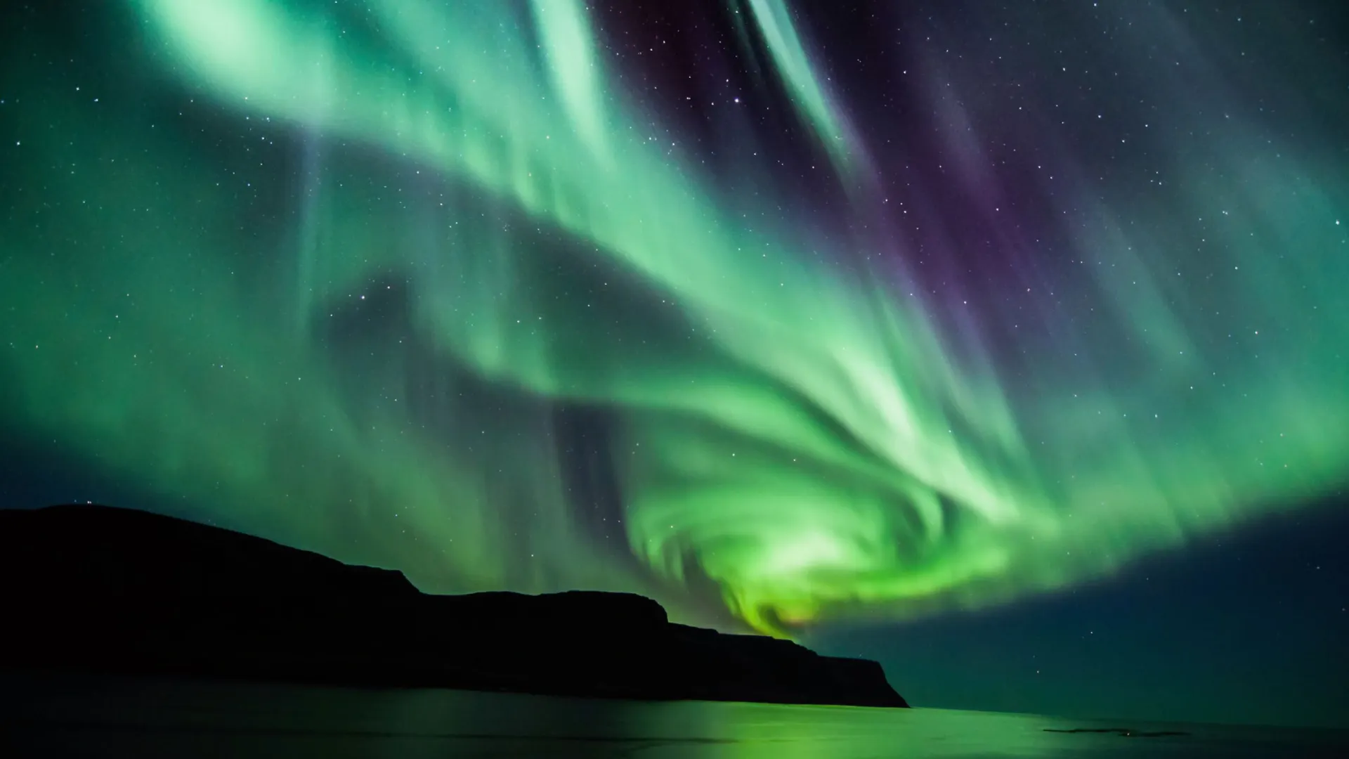 Фото: Mike-Hubert.com/Shutterstock/Fotodom