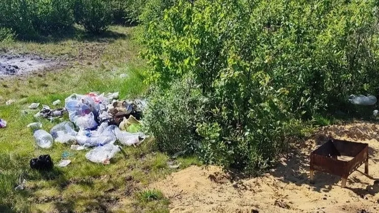 Сложно понять, что подвигло отдыхавших в беседках оставить после горы отходов. Фото: vk.com/dprryanao