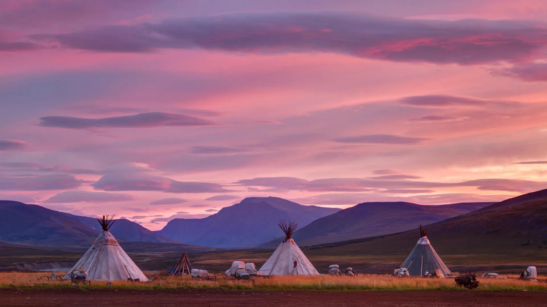 Фото: Shchipkova Elena / Shutterstock / Fotodom