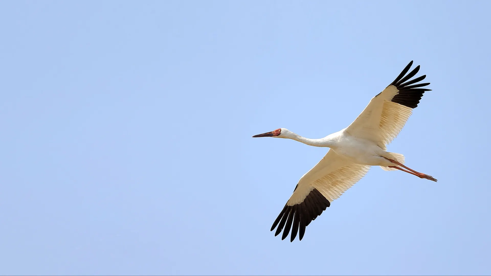 Фото: Wang LiQiang/Shutterstock/Fotodom