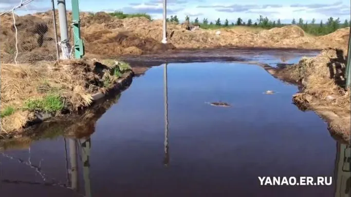 Стопкадр видео vk.com/er_yamal