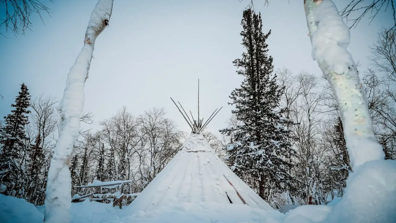 Фото: Юлия Чудинова / ИА "Север-Пресс"