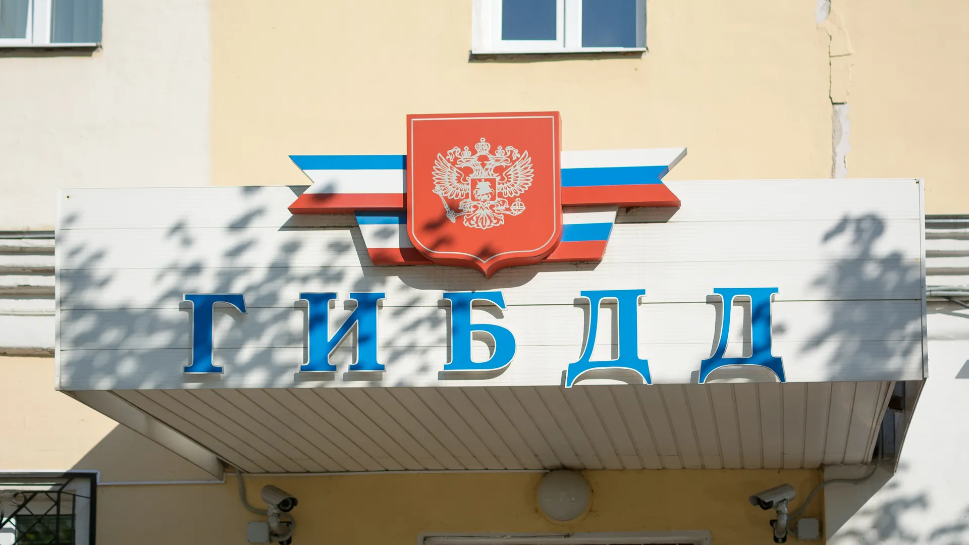 Фото: Starikov Pavel / Shutterstock