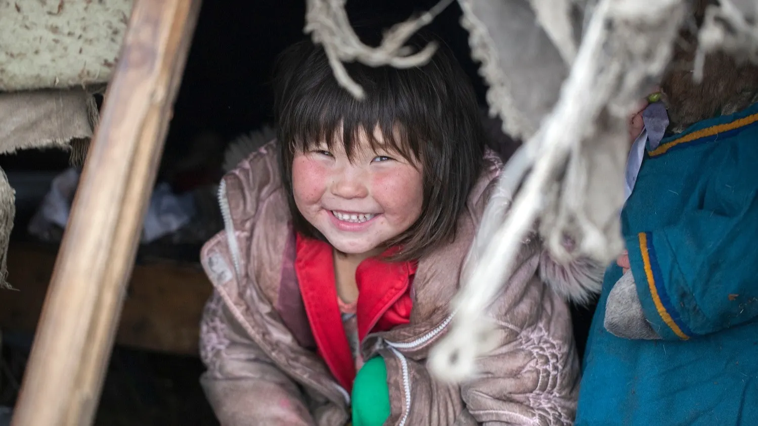 Фото: evgenii mitroshin / shutterstock.com / Fotodom