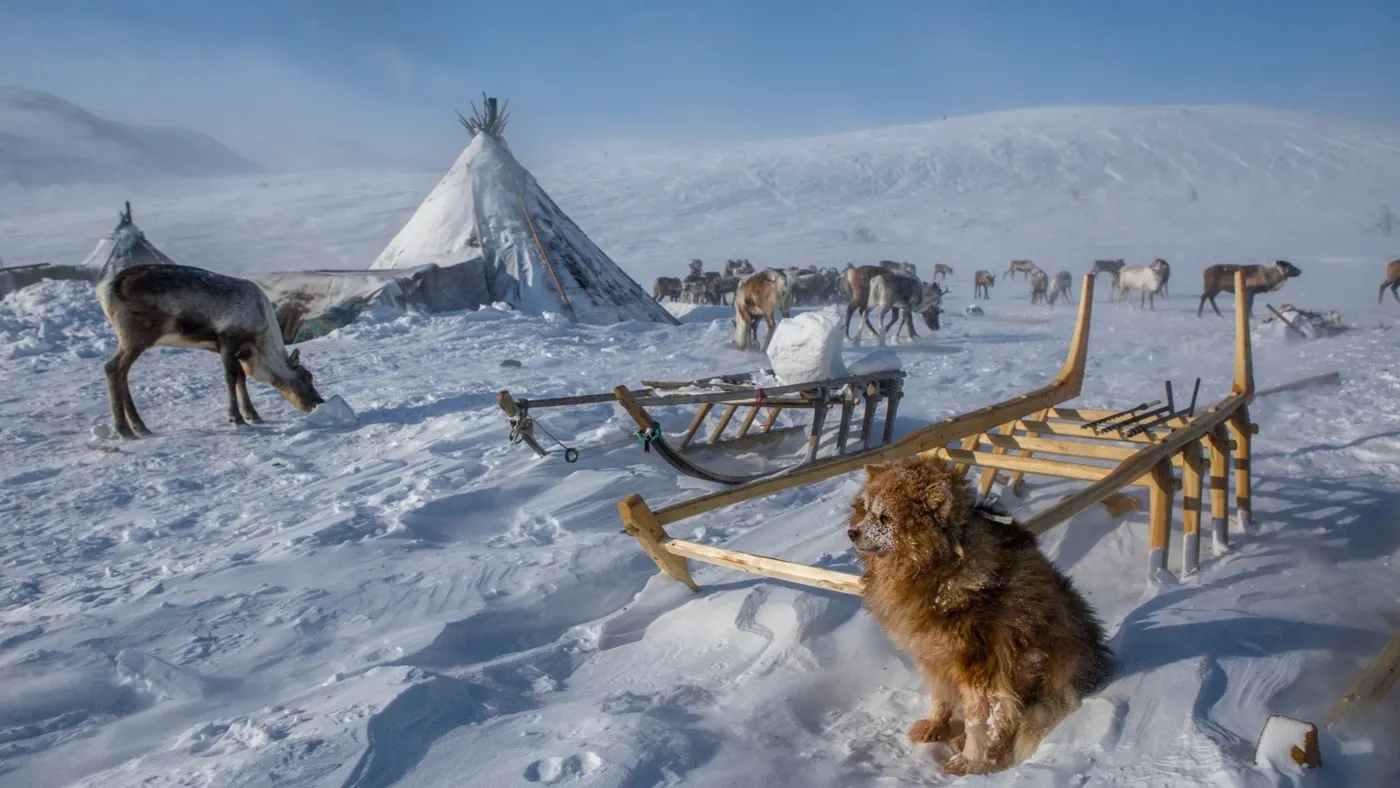 В непогоду стойбище - самое безопасное место в тундре. Фото: olgabobkovafoto / shutterstock.com / Fotodom