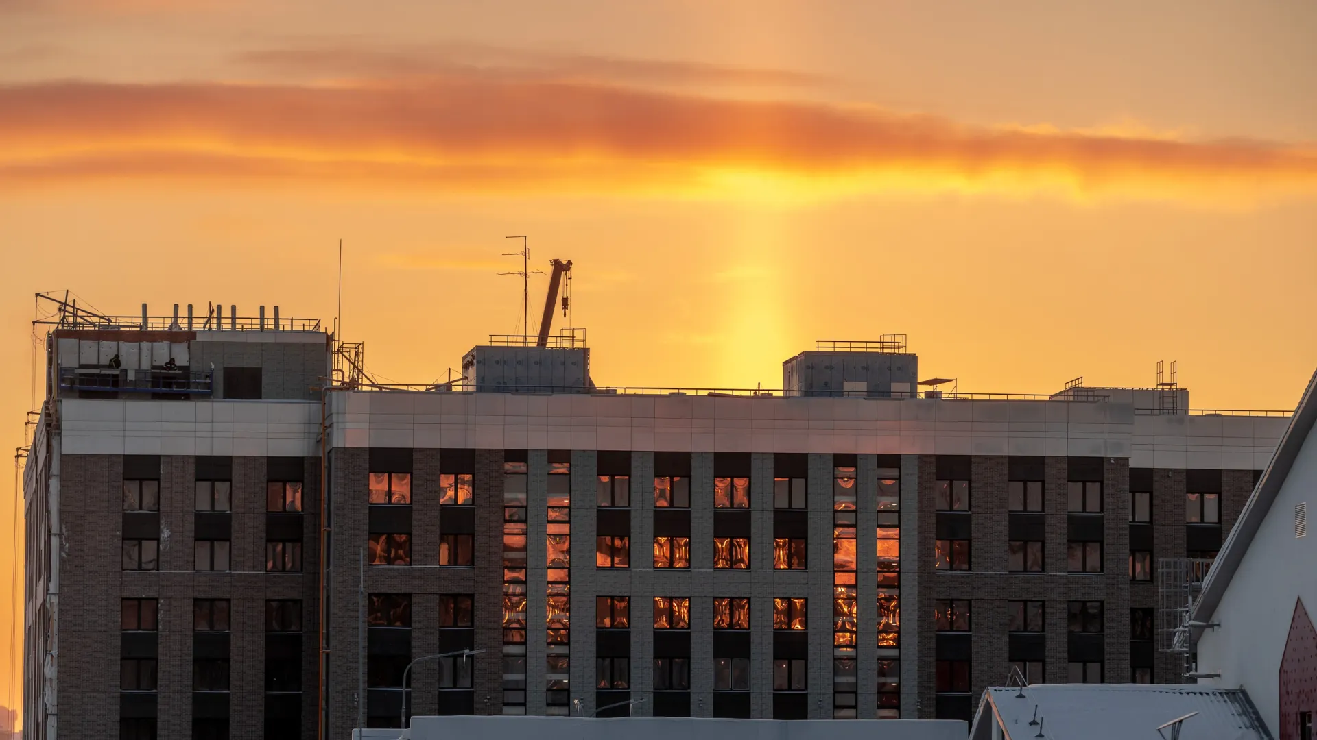 Фото: Фёдор Воронов / «Ямал-Медиа»